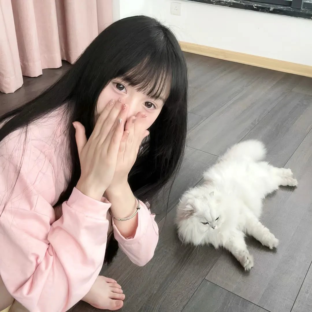 双面特工